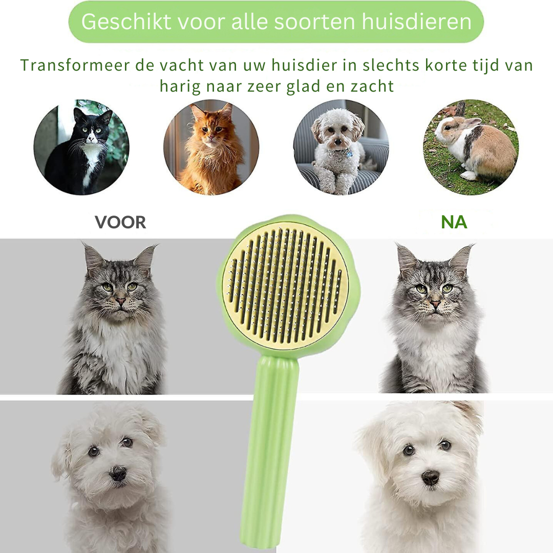 50% KORTING | Petbrush™ - Je huisdier borstelen was nog nooit zo makkelijk!