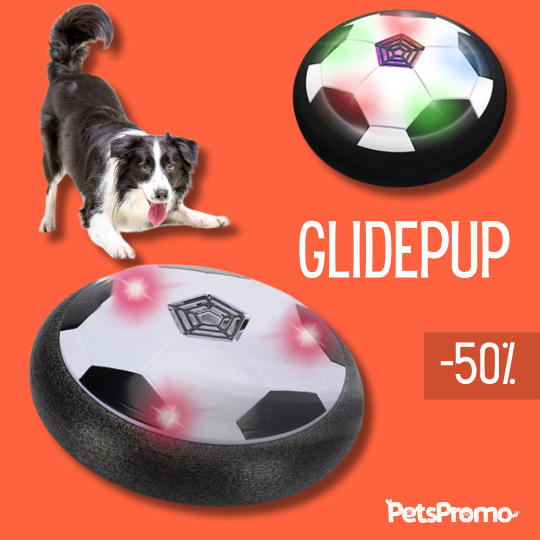 50% KORTING | GlidePup™ - oneindig veel speelplezier voor je hond!