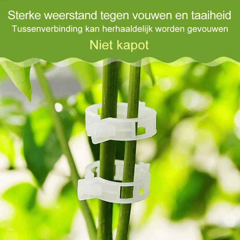 PlantBuddy™ | StemStabilizers - Houd je tuin stabiel en sterk!