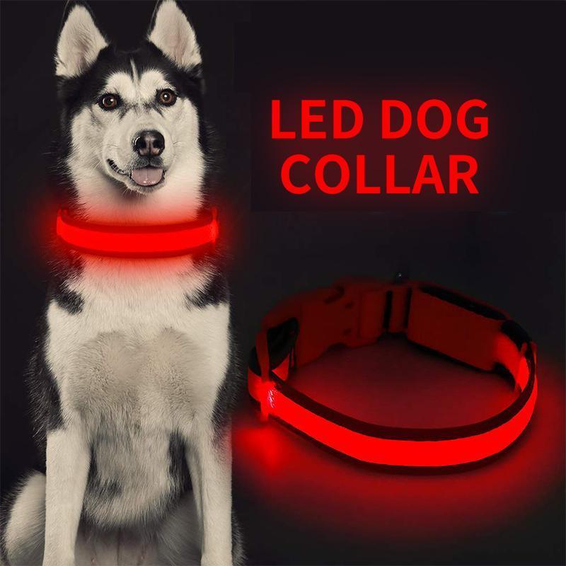 50% KORTING | LED-halsbanden™ - Voor honden