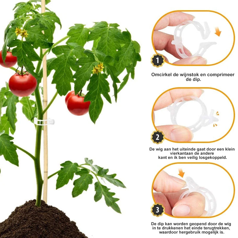 PlantBuddy™ | StemStabilizers - Houd je tuin stabiel en sterk!