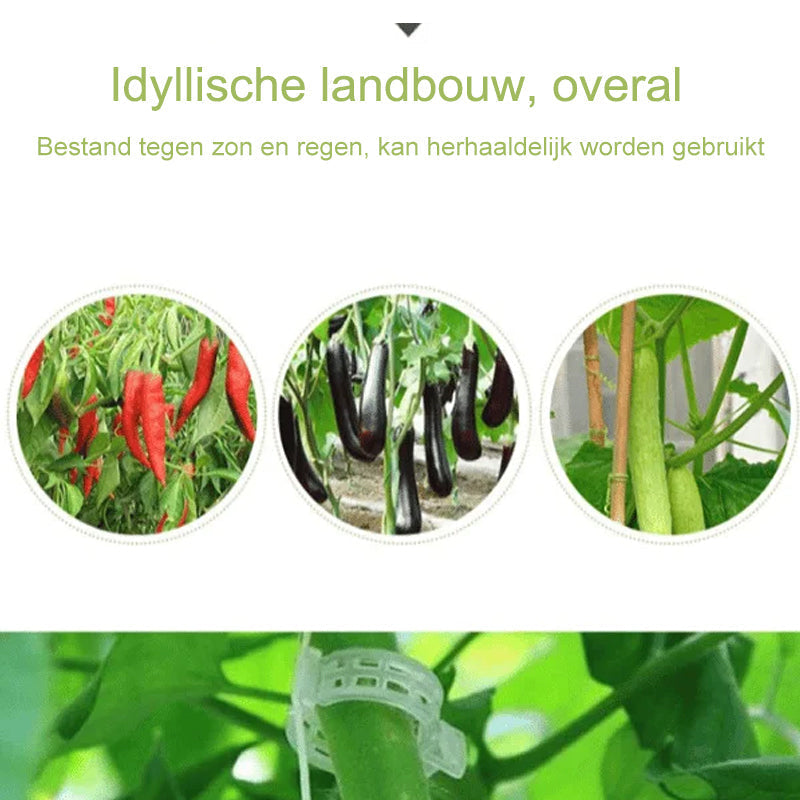 PlantBuddy™ | StemStabilizers - Houd je tuin stabiel en sterk!