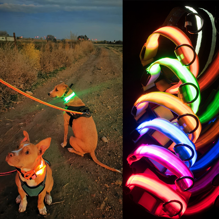 50% KORTING | LED-halsbanden™ - Voor honden