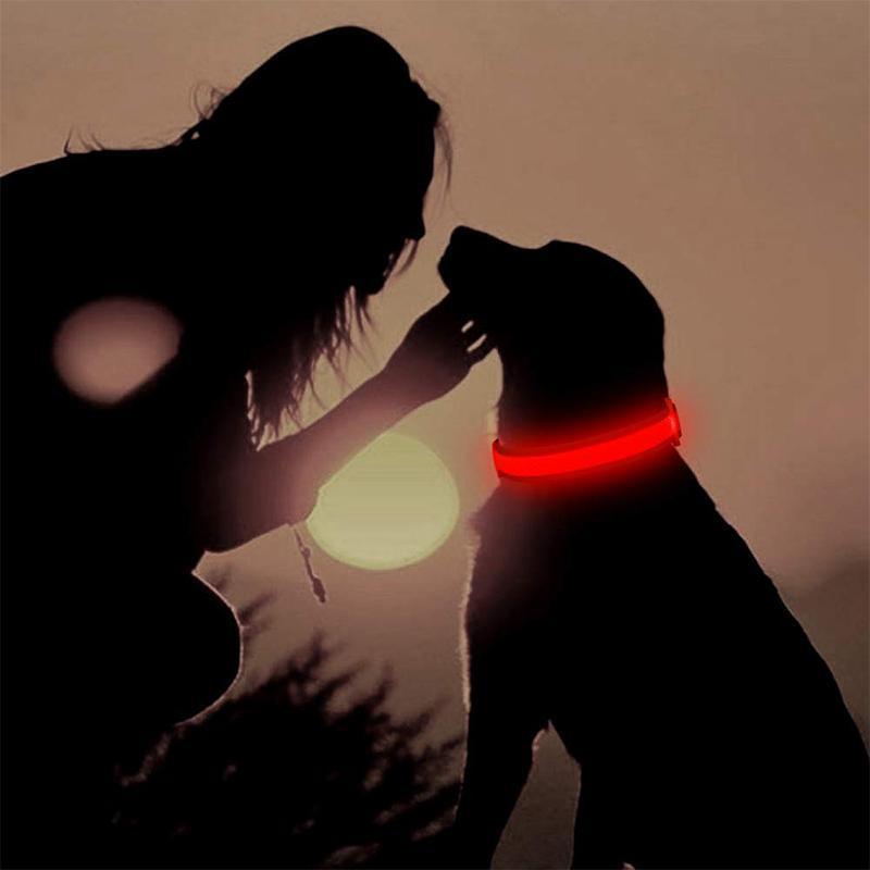 50% KORTING | LED-halsbanden™ - Voor honden