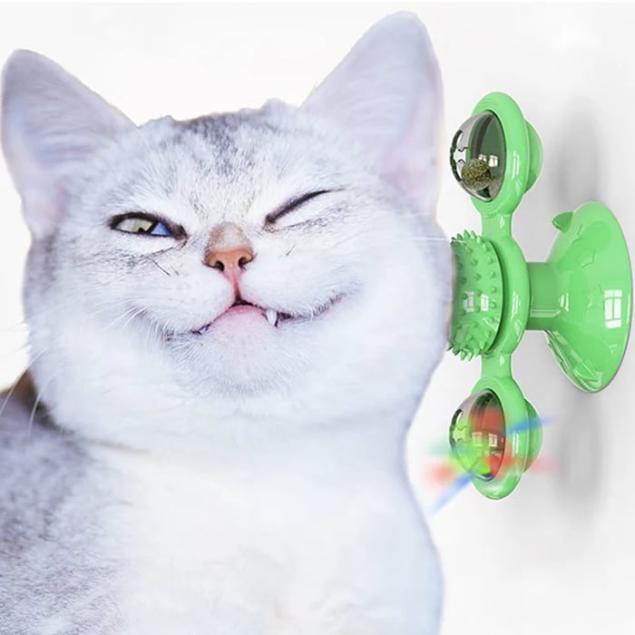 50% KORTING | Spinningbal™ - Interactief Spinnenwiel Kattenspeeltje