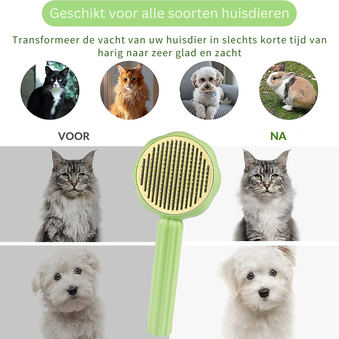 50% KORTING | Petbrush™ - Je huisdier borstelen was nog nooit zo makkelijk! [Laatste dag korting]