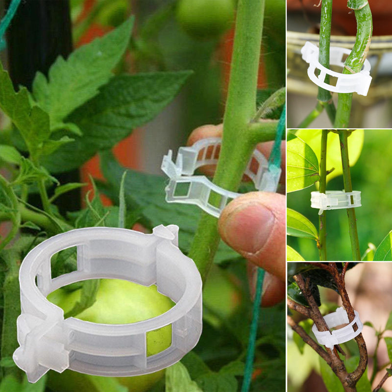 PlantBuddy™ | StemStabilizers - Houd je tuin stabiel en sterk!